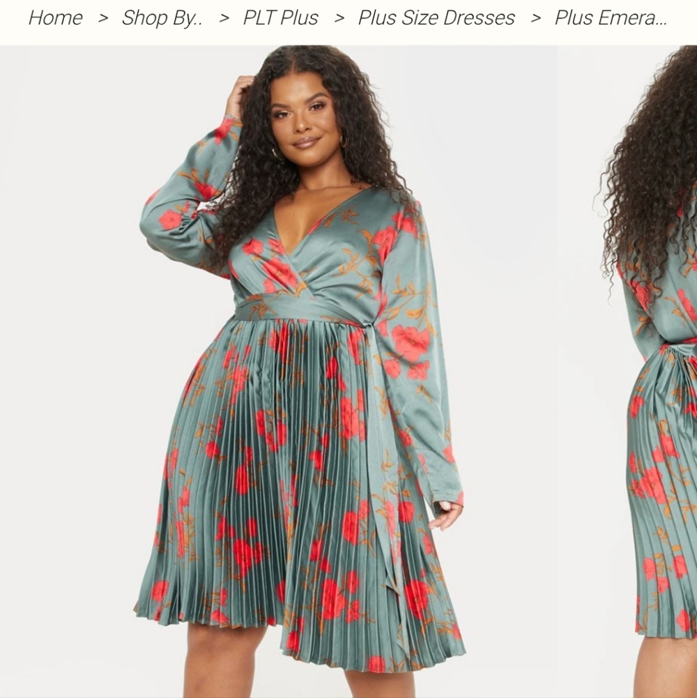 Floral Pleated Plus Size Pretty Little Things Dress